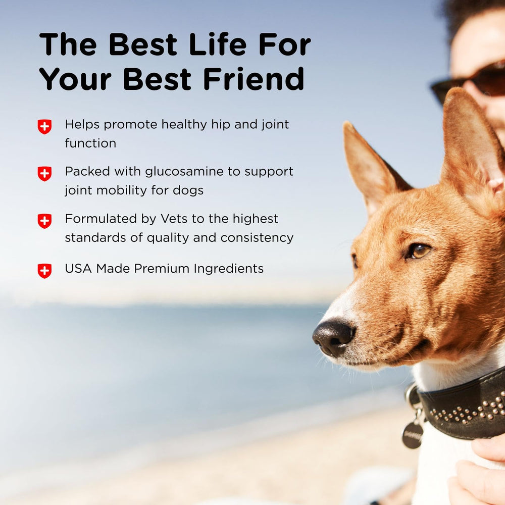 Nutri-Vet Hip and Joint chews highlight hyaluronic acid and MSM.