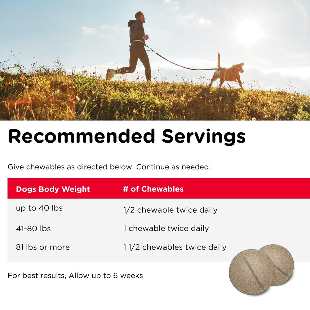 Nutri-Vet ingredients label highlights glucosamine chondroitin MSM