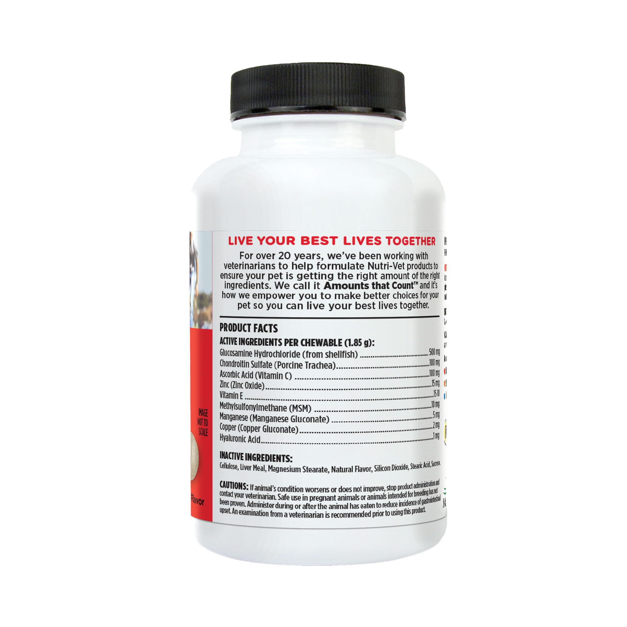 Nutri-Vet mobility support for puppies and adult dogs
