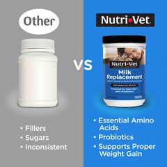 Nutri-Vet Milk Replacer prepared milk mix ready to feed kittens.