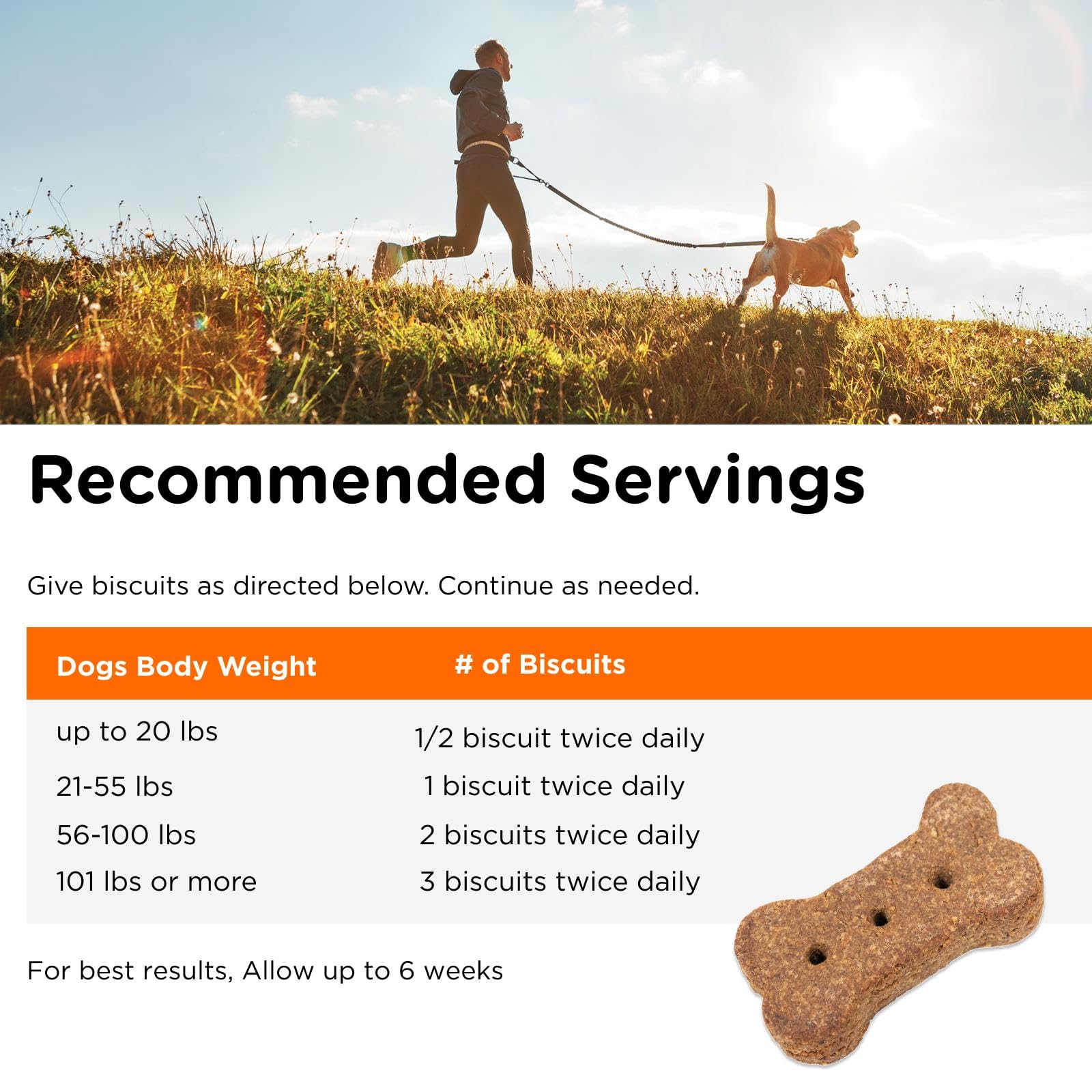 Nutri-Vet Skin & Coat Biscuits texture close-up highlighting crunch.