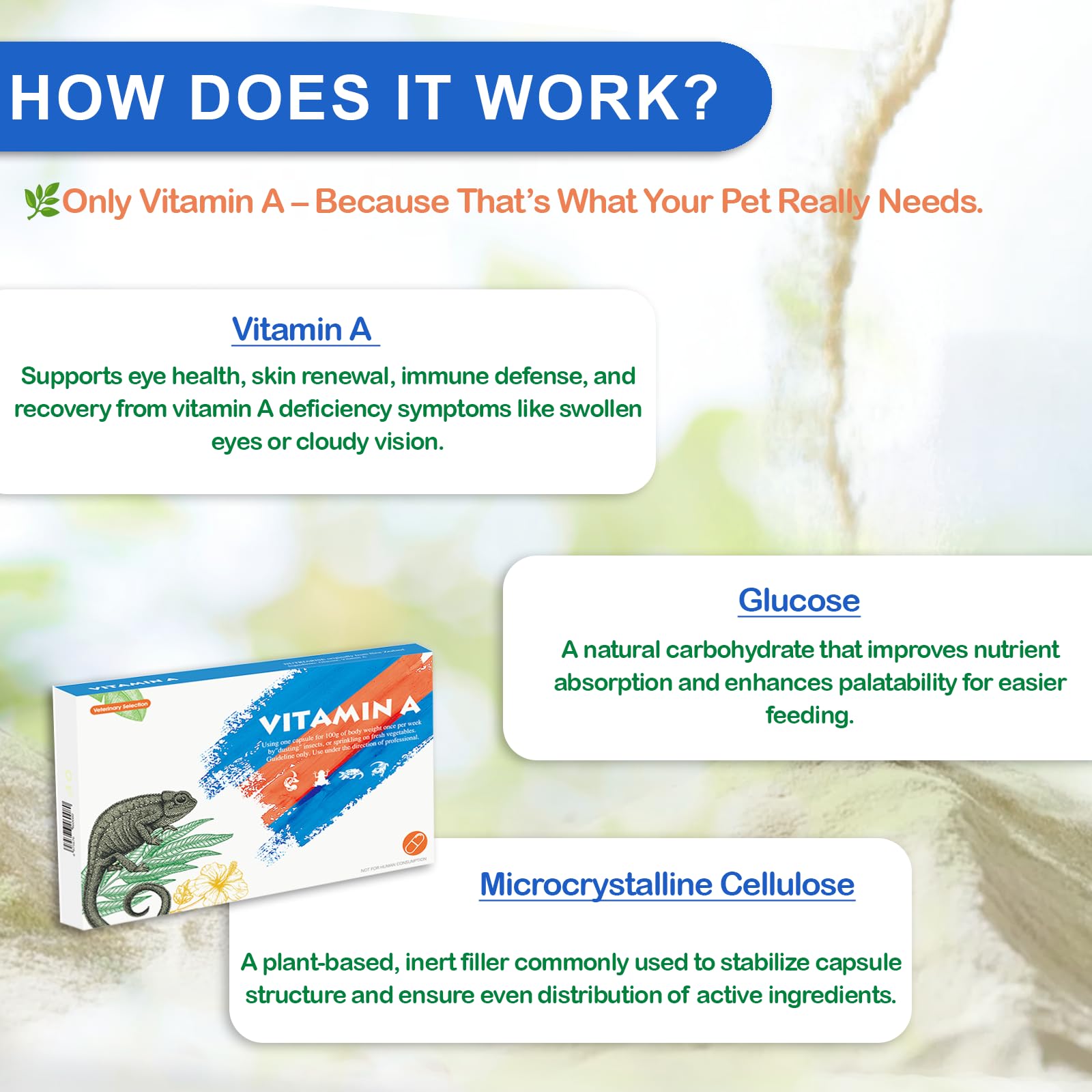 Nutriarise eye health support helps reptiles stay active during daily routines.