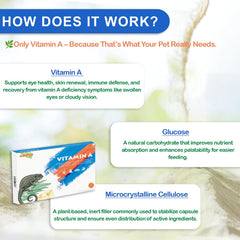 Nutriarise eye health support helps reptiles stay active during daily routines.