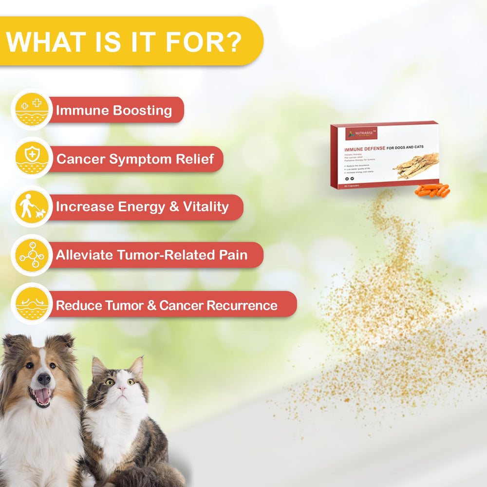 NUTRIARISE Immune Defense capsules closeup highlights convenient form for dogs and cats.