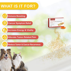NUTRIARISE Immune Defense capsules closeup highlights convenient form for dogs and cats.