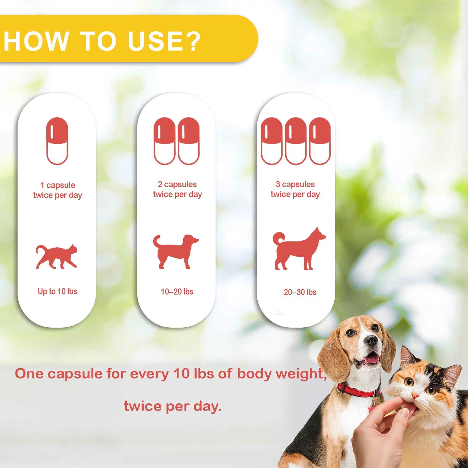 NUTRIARISE Immune Defense packaging front showcases credibility and clear wellness benefits.