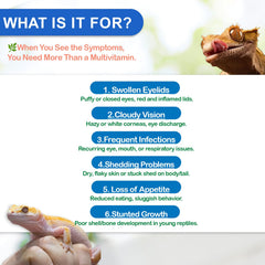 Nutriarise vitamin A powder mix blends easily with reptile food for dosing consistency.