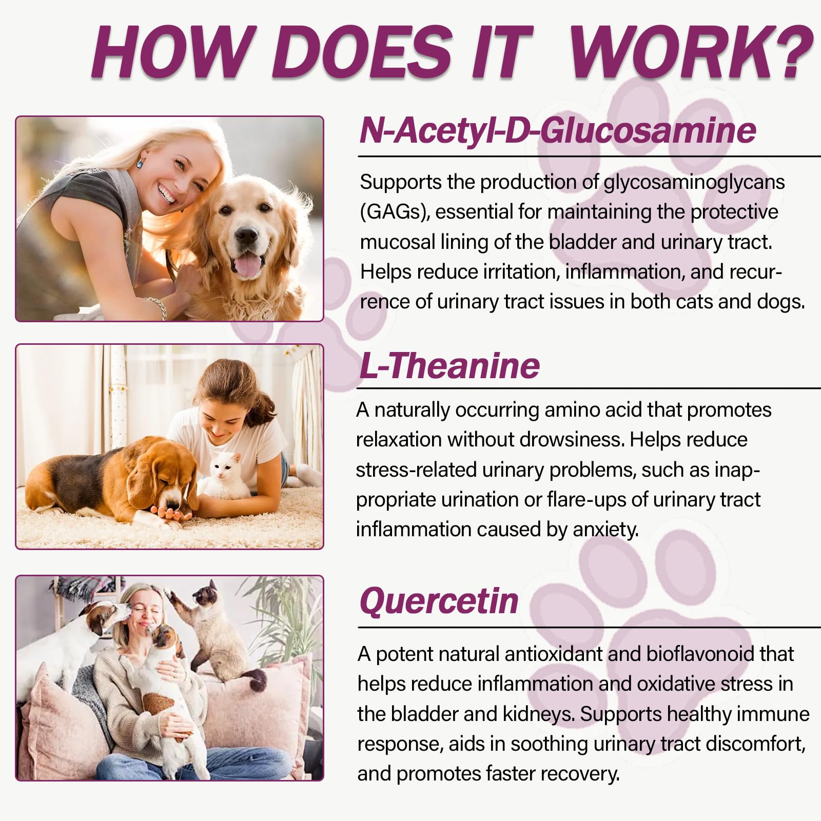 Nutriarise UT Aid Plus capsules in food demonstrate easy daily administration.