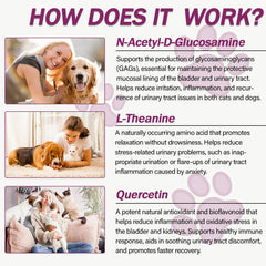 Nutriarise UT Aid Plus capsules in food demonstrate easy daily administration.