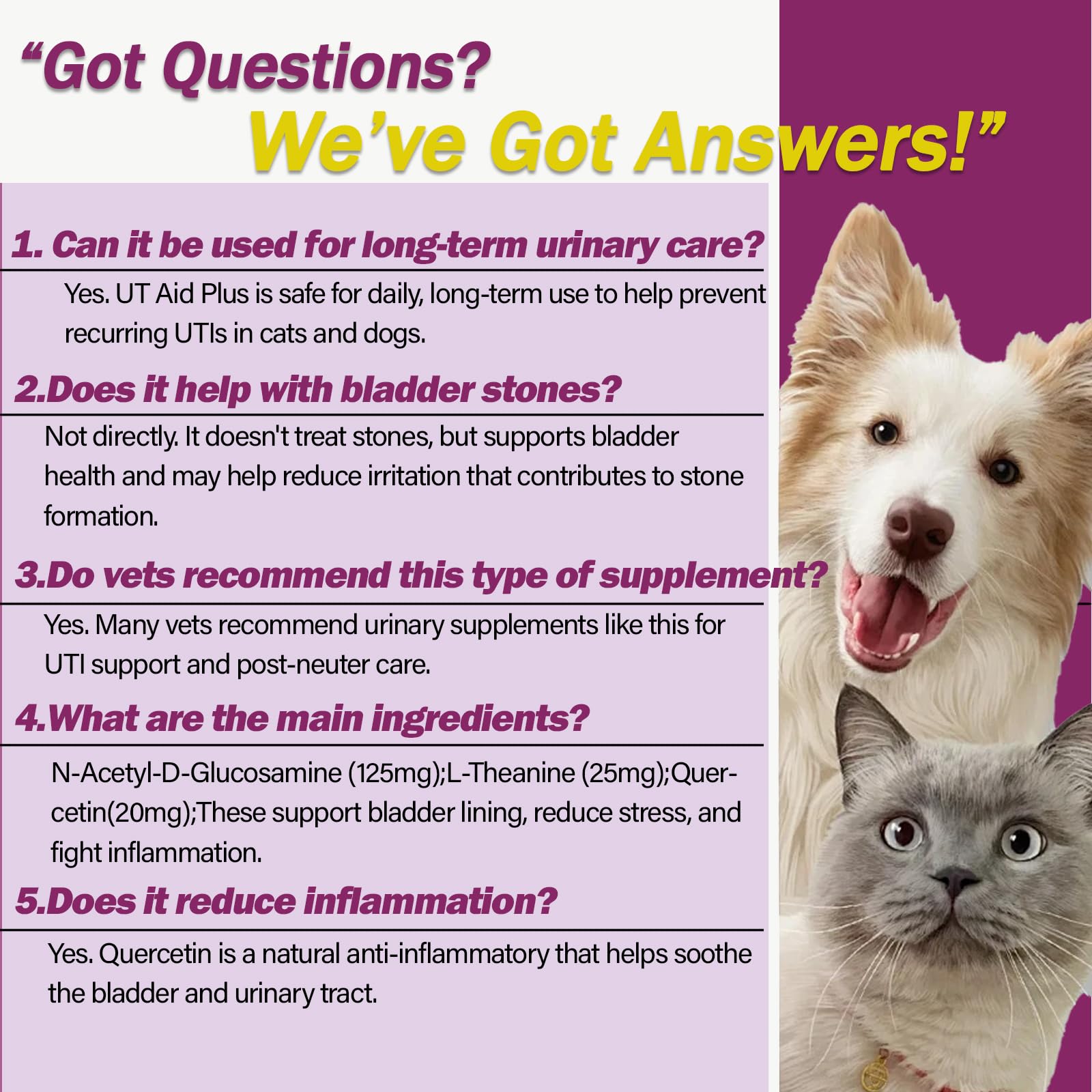 Nutriarise UT Aid Plus daily-dosing setup shows simple routine for pet care.