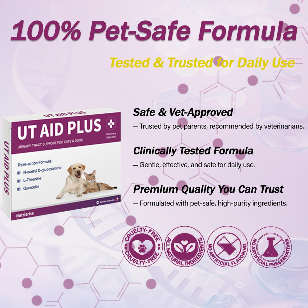 Nutriarise UT Aid Plus graphic implies kidney and bladder wellness support.