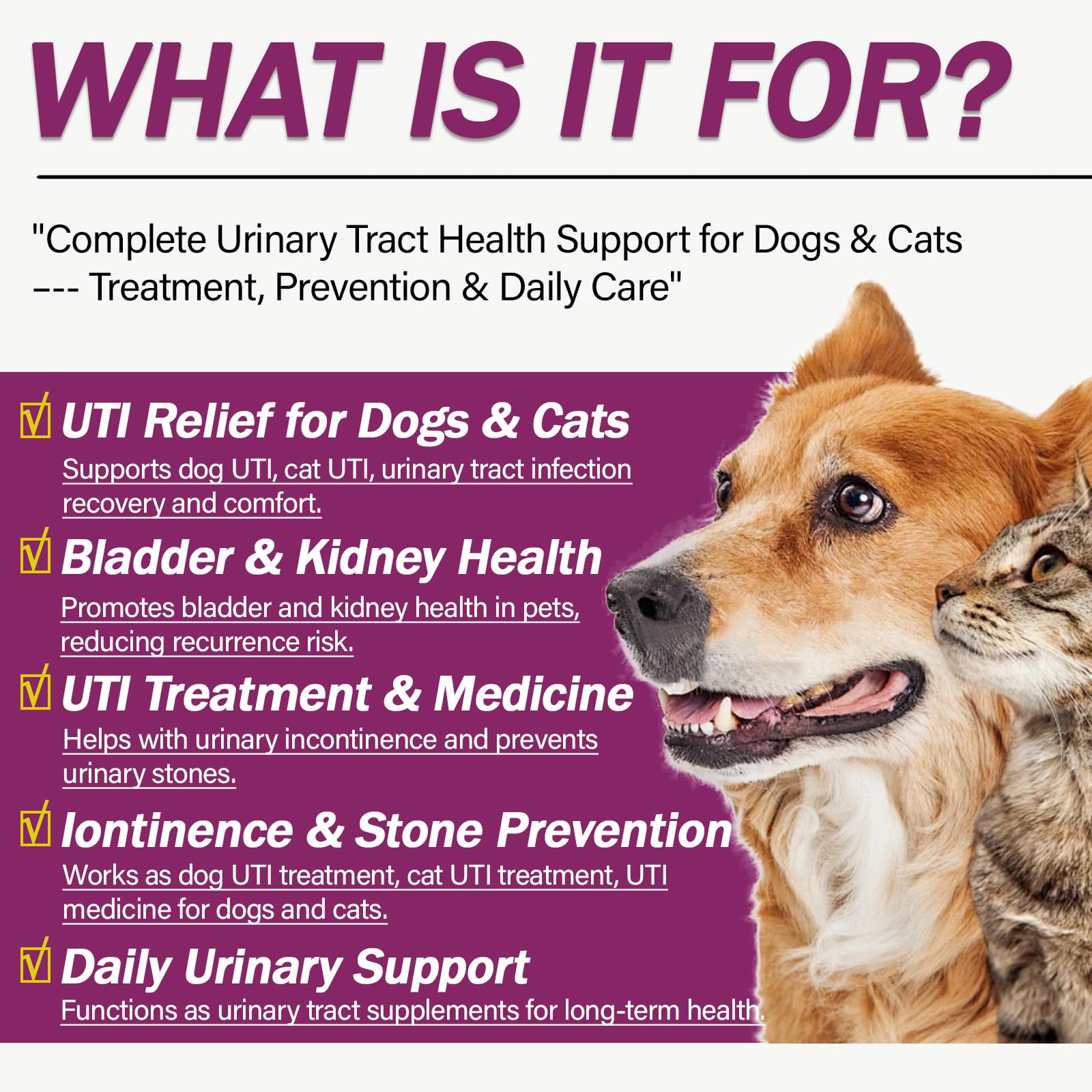 Nutriarise UT Aid Plus label closeup highlights a natural, vet-formulated urinary health blend.