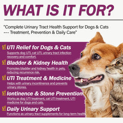 Nutriarise UT Aid Plus label closeup highlights a natural, vet-formulated urinary health blend.