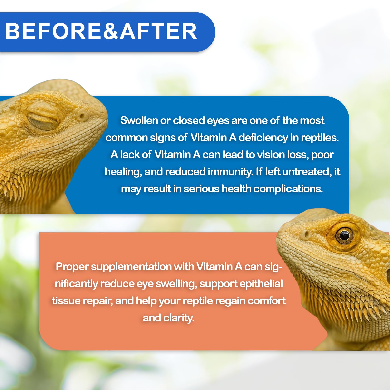 Nutriarise vet-recommended reptile vitamin supports regular, safe supplementation.