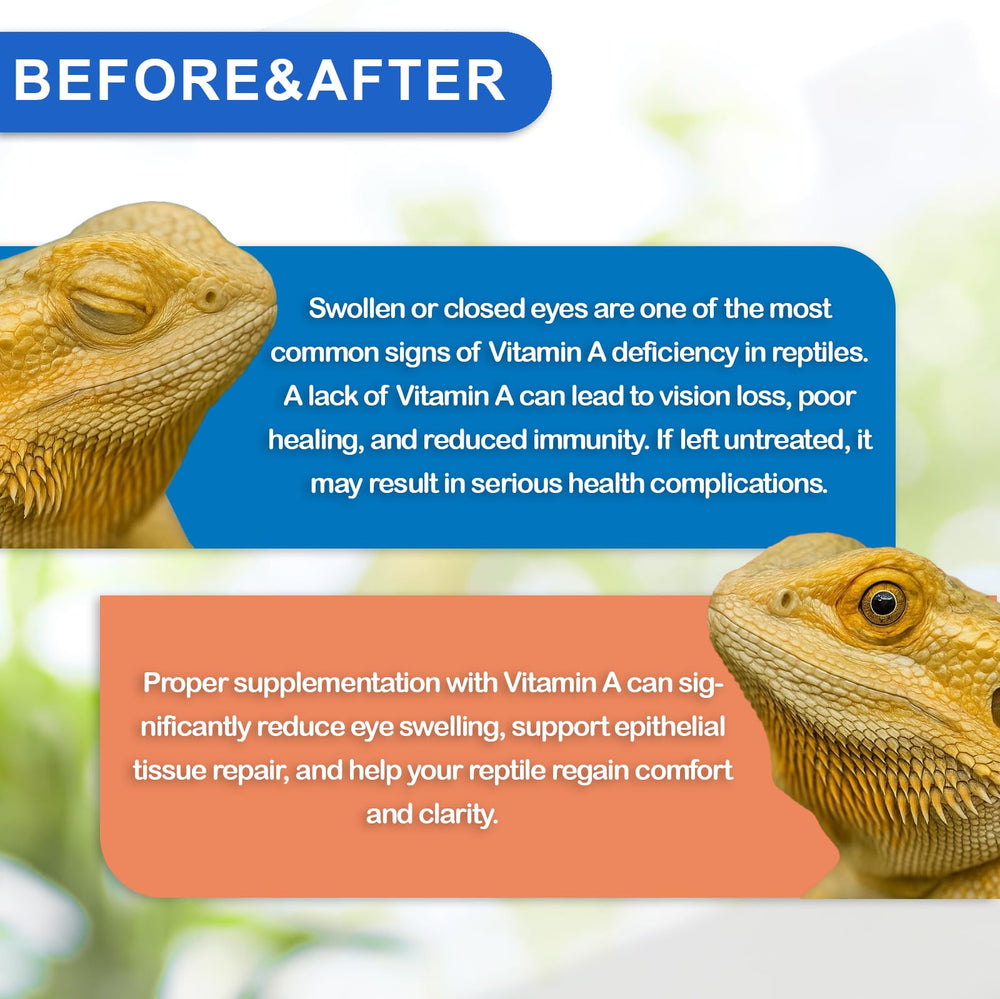 Nutriarise vet-recommended reptile vitamin supports regular, safe supplementation.