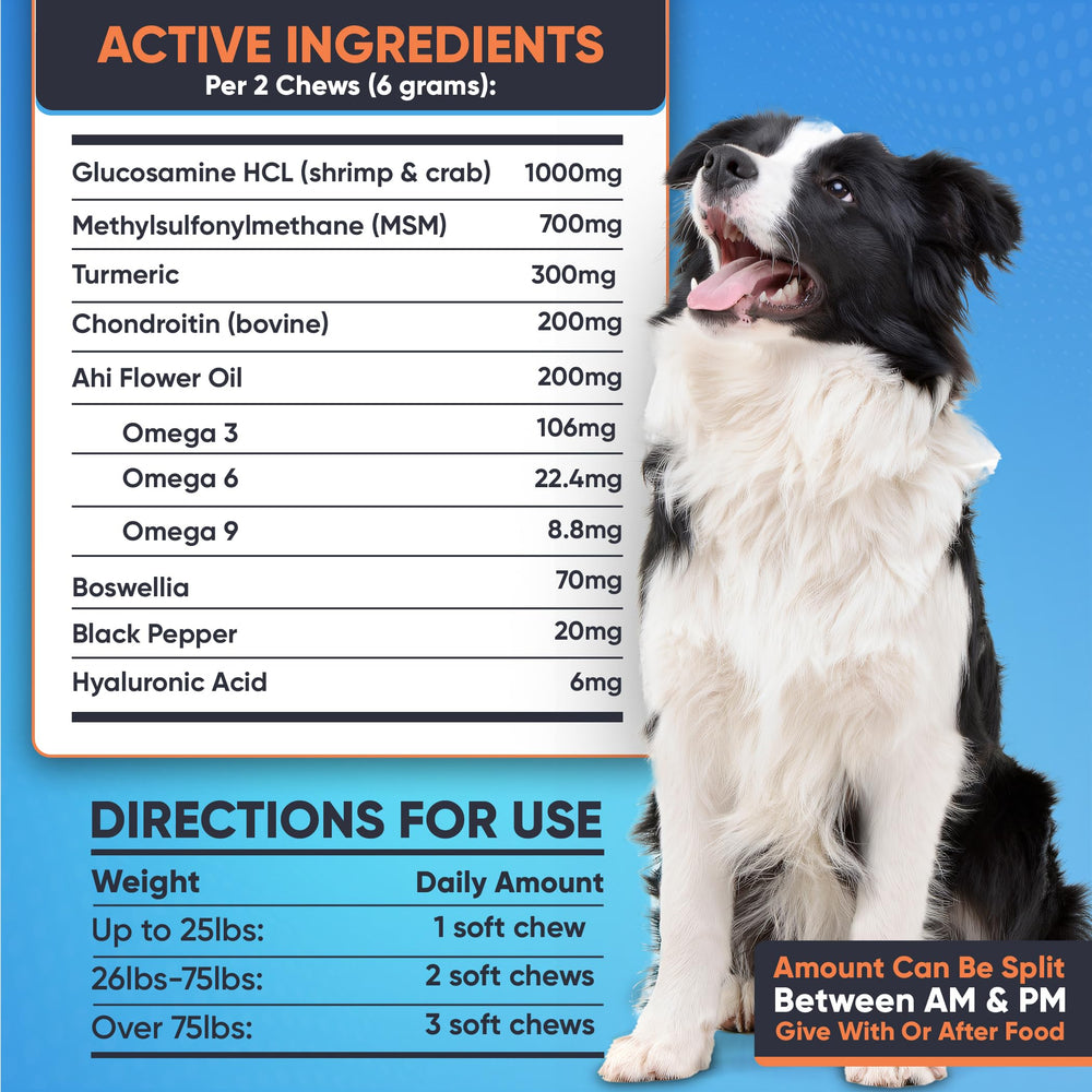 Nutribark bone-shaped dog treats appealing during treat time
