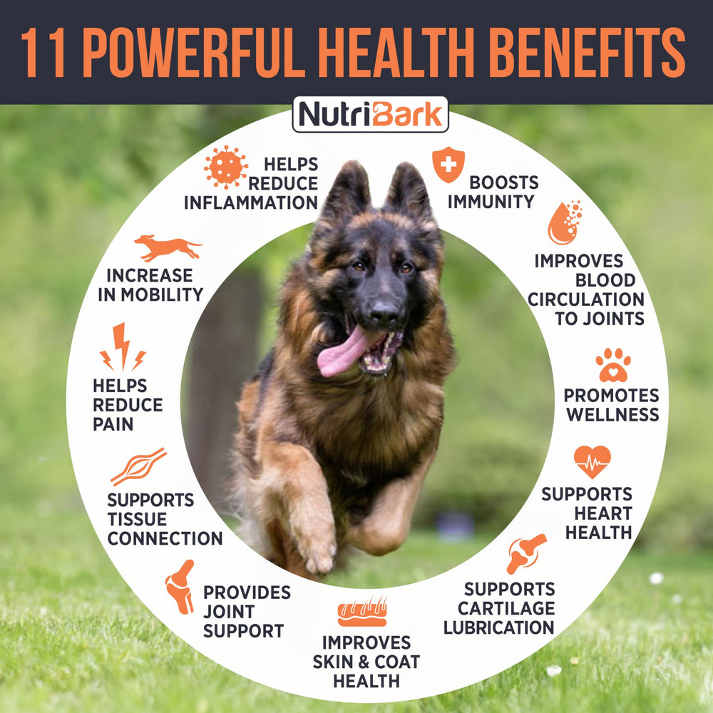 Nutribark glucosamine for dogs soft chews pieces highlight tasty daily use