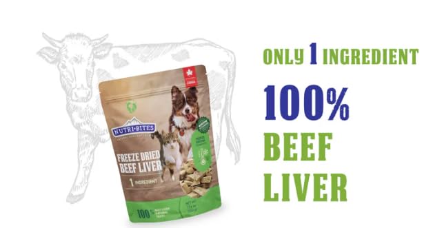 Nutri Bites beef liver treats in dish ready for training sessions.