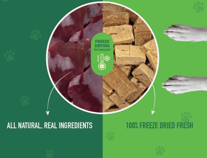 Nutri Bites freeze-dried beef liver treats close-up texture showing crisp, protein-rich surface.