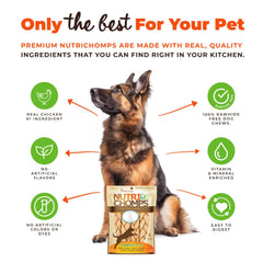 NutriChomps 9-inch braid in a dog's mouth highlighting chew texture