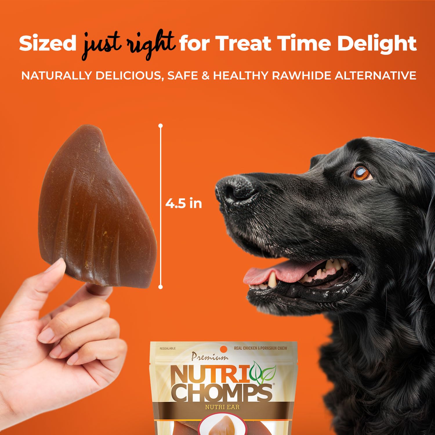 NutriChomps oven-roasted chicken chew looks savory and appealing.