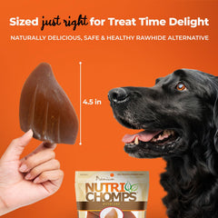 NutriChomps oven-roasted chicken chew looks savory and appealing.