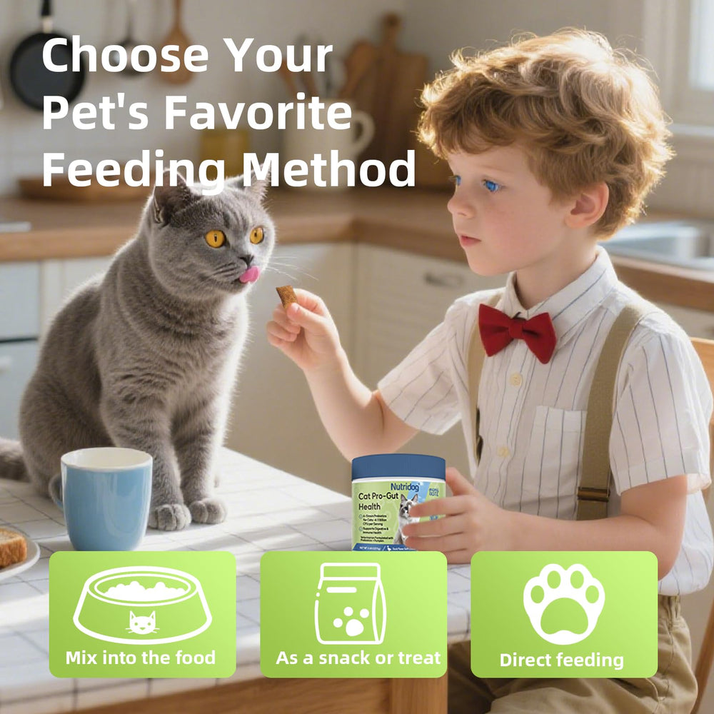Nutridog Cat Probiotic 150-chew value pack for extended daily care.