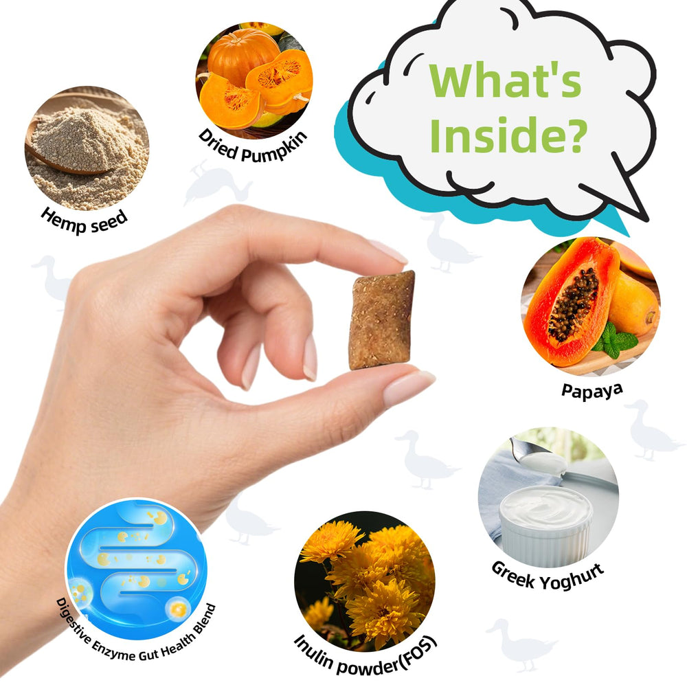 Nutridog Cat Probiotic dual-texture creamy core for irresistible digestion-friendly treats.