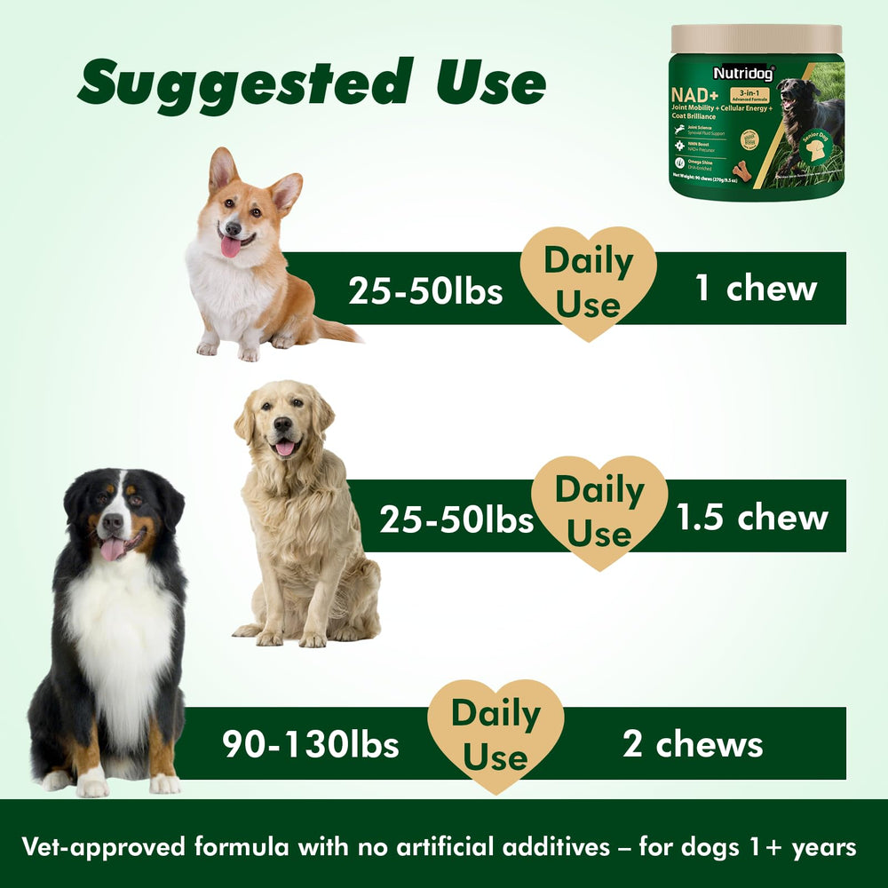Visible energetic support in many senior dogs within 28 days