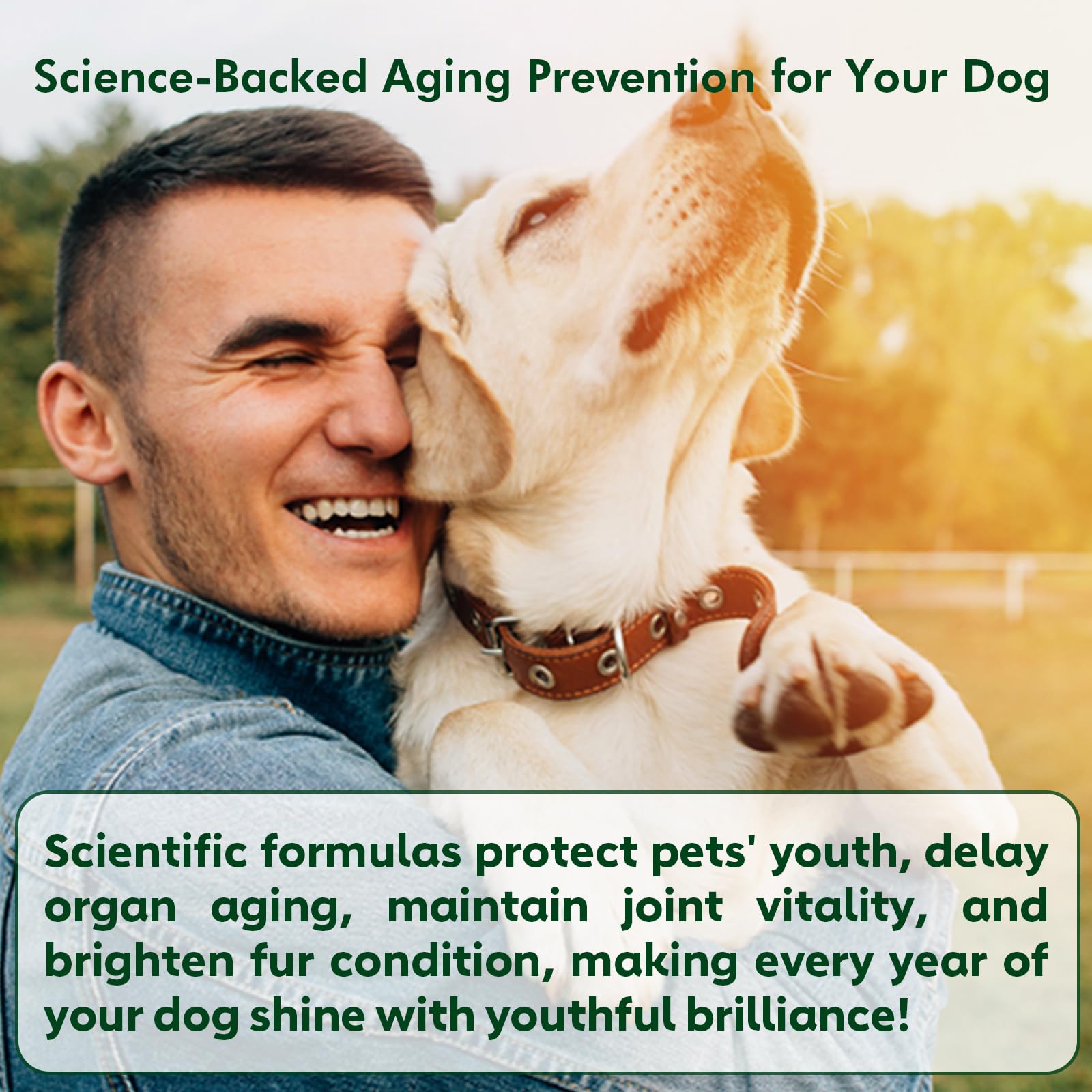 Supports joints and healthy skin for aging dogs