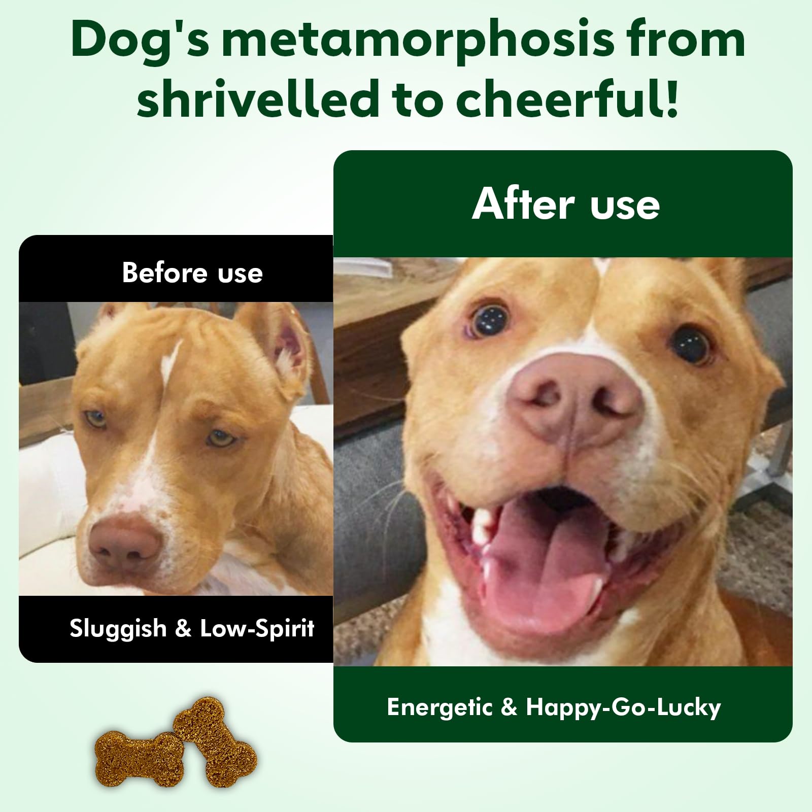 Nutridog blend with Glucosamine Chondroitin and Omega-3 for joints and skin