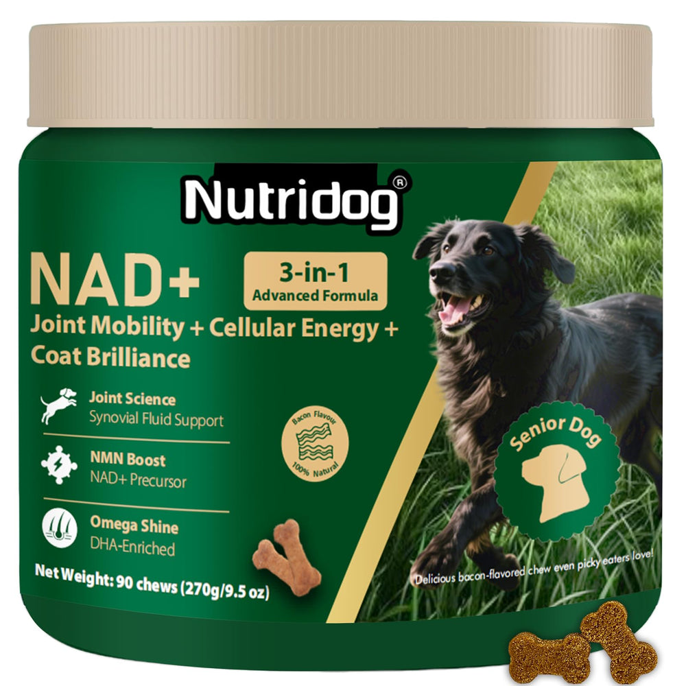 Nutridog NMN supplement bottle highlighting 40 mg NMN for senior dogs