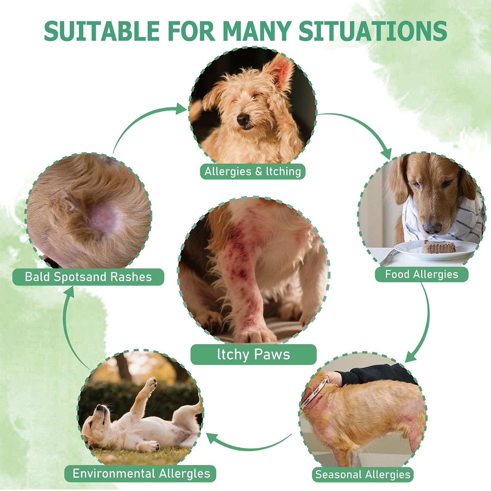 Nutridog Probiotics 300M CFU bottle illustrating gut health.