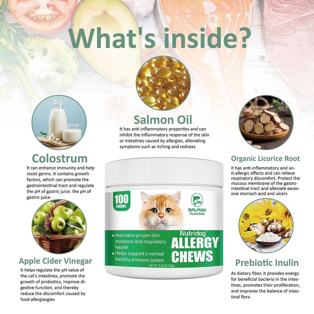 Nutridog salmon-flavor soft chews close-up appealing taste for picky cats