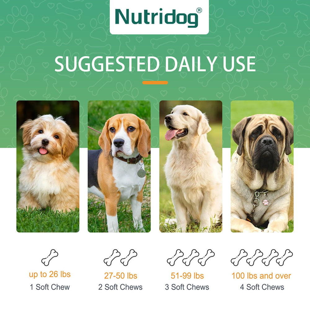 Nutridog shelf with jar on kitchen counter.
