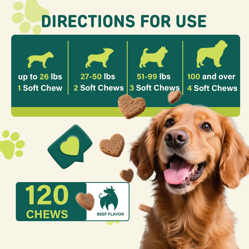 Nutridog 120-count bottle; convenient monthly supply.