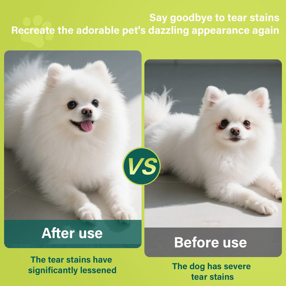 Nutridog chews shown beside a dog’s eyes and white fur area.