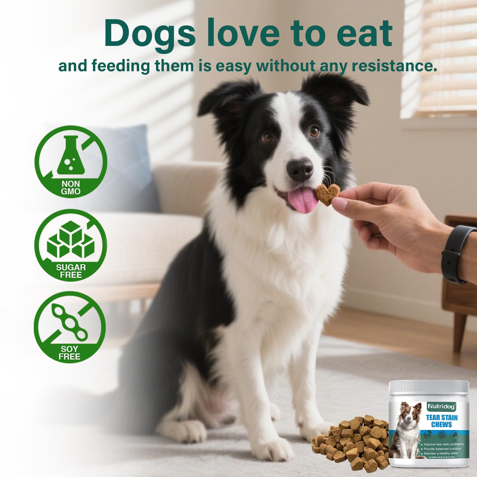Nutridog chews used in grooming context, preferred by groomers.