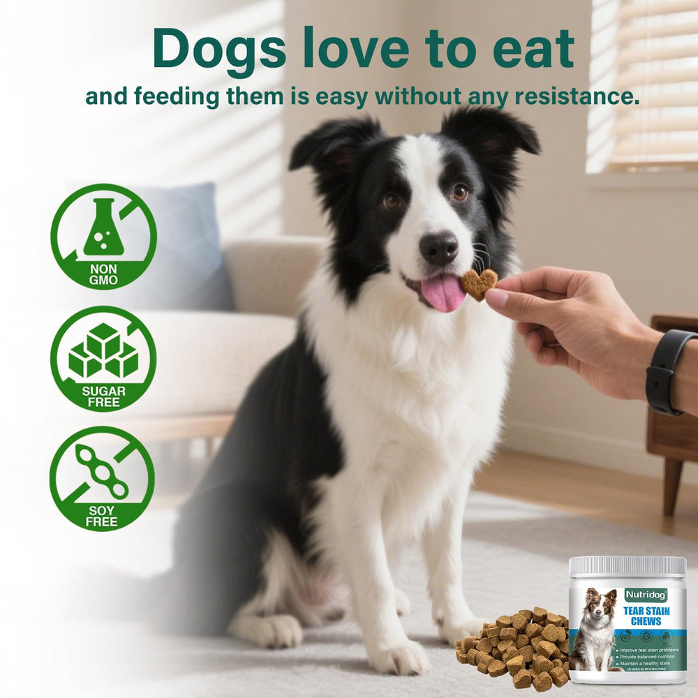 Nutridog chews used in grooming context, preferred by groomers.