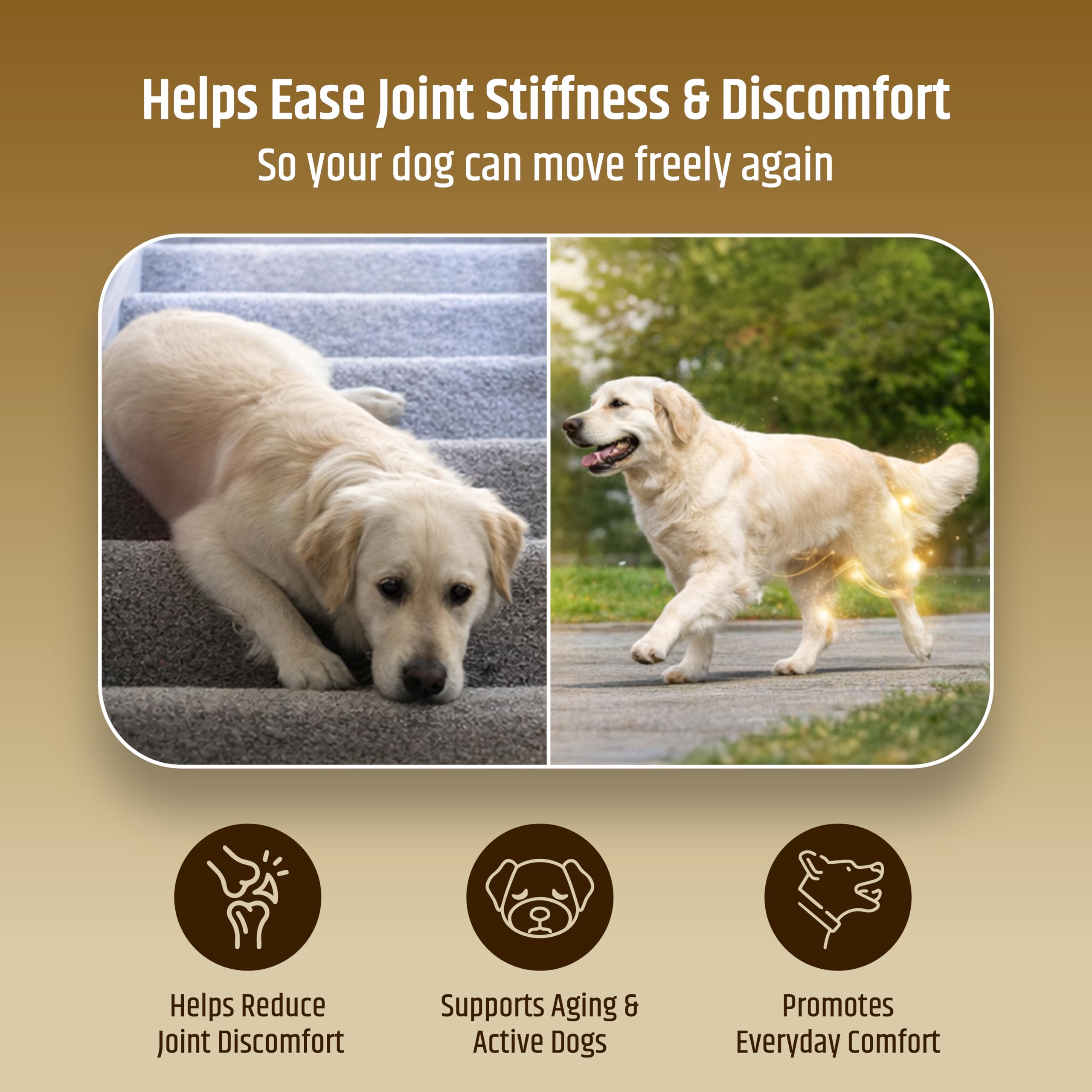 Nutrimend IQ PetriGuard veterinarian-approved seal for trusted canine care.