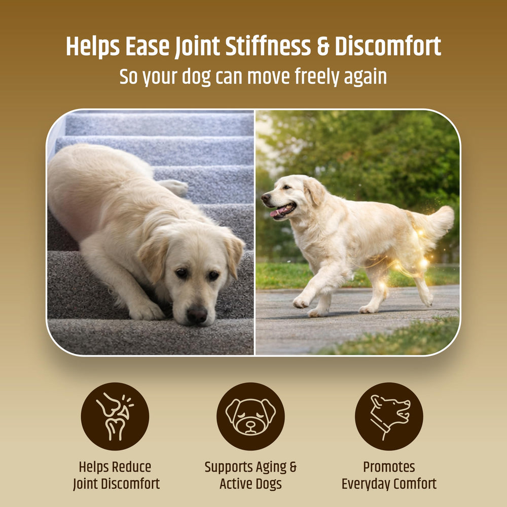 Nutrimend IQ PetriGuard veterinarian-approved seal for trusted canine care.
