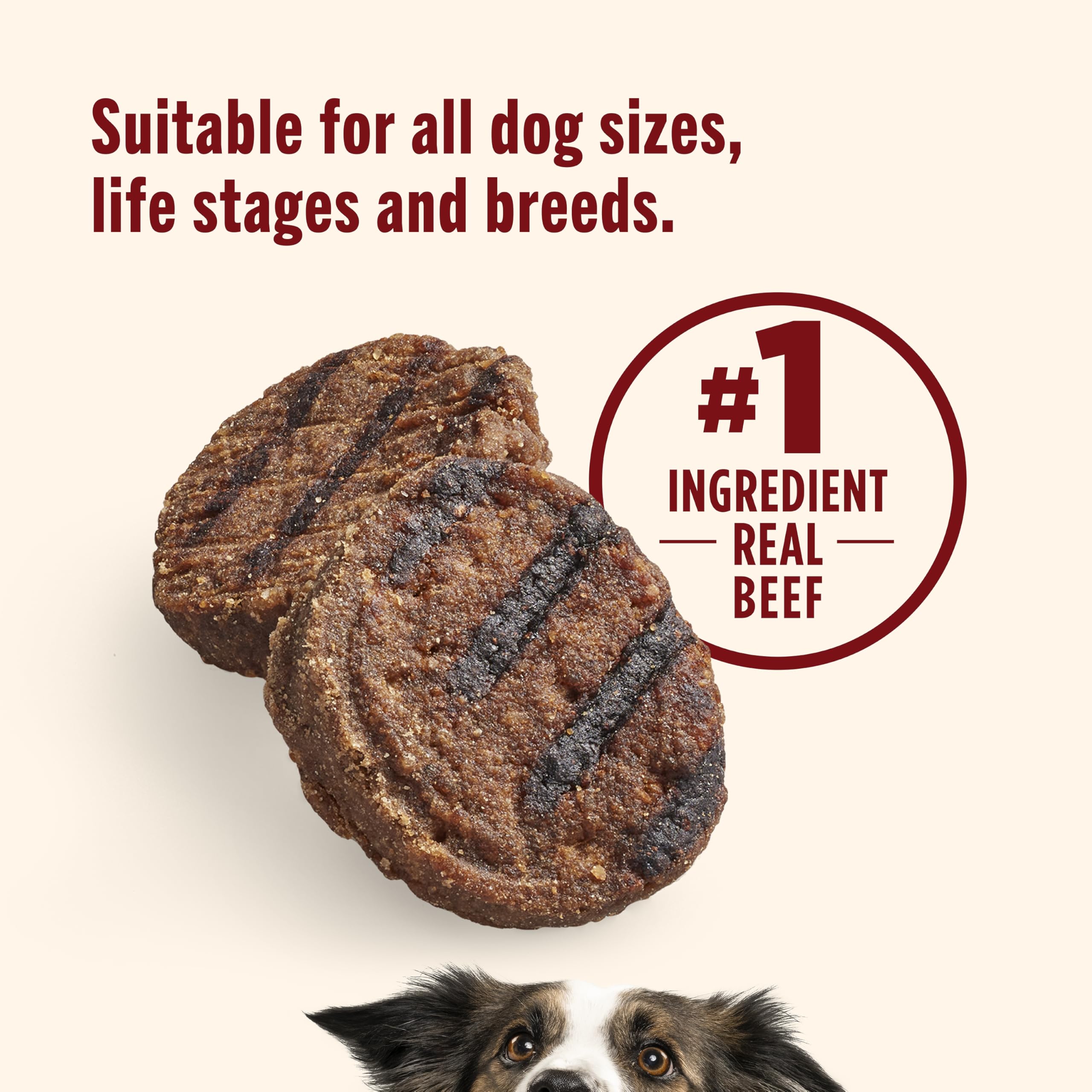 Nutrish Burger Bites no corn or soy ingredients.