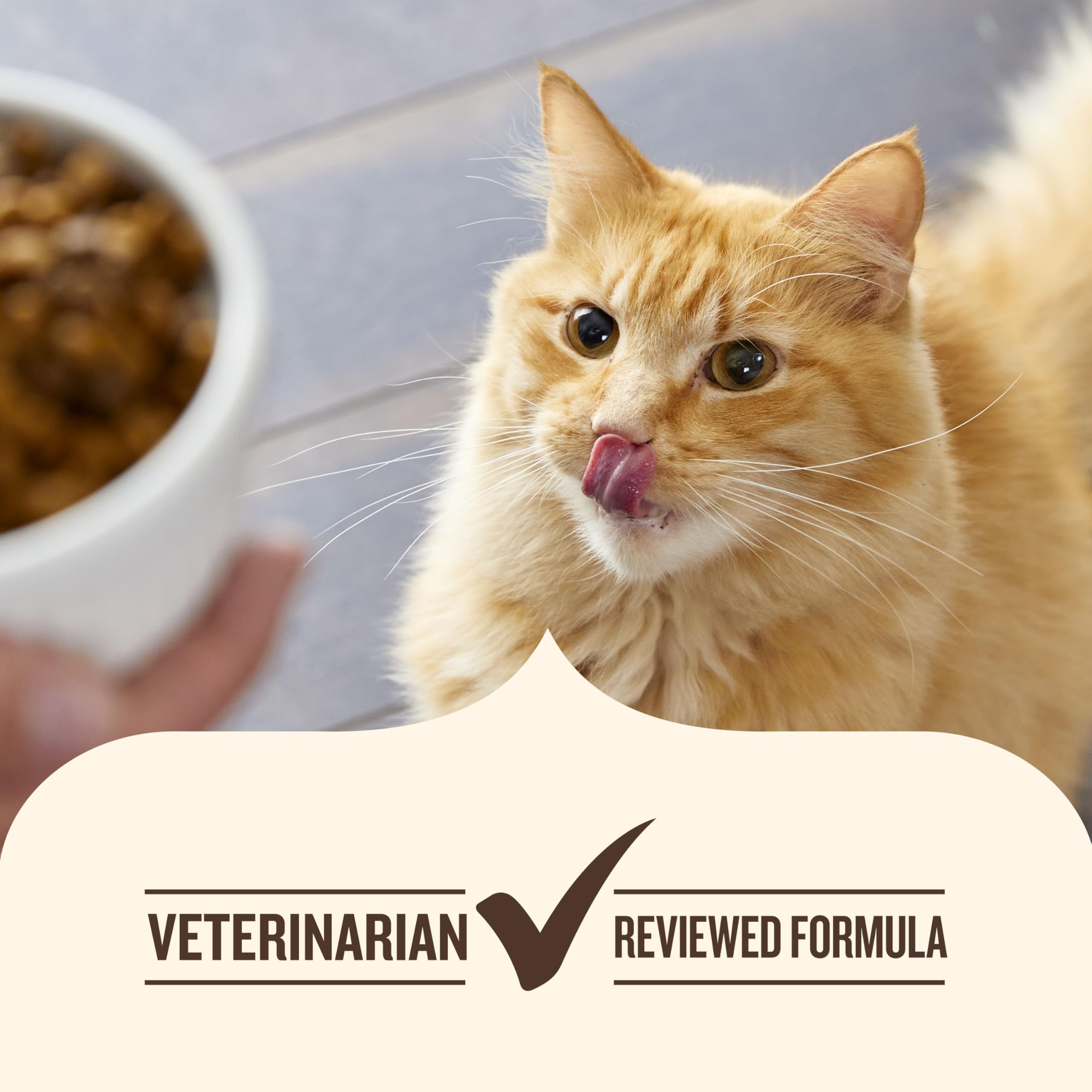 Nutrish kibble texture enhances cat mealtime enjoyment