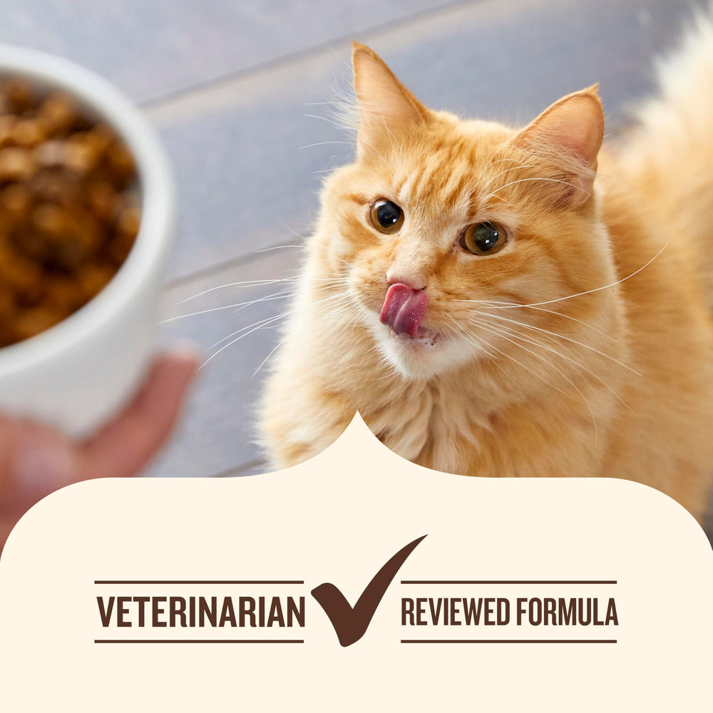 Nutrish kibble texture enhances cat mealtime enjoyment