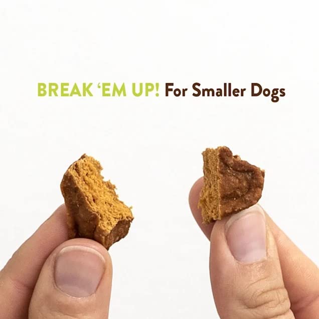 Dog enjoys a Savory Roasters bite, savoring roasted chicken.