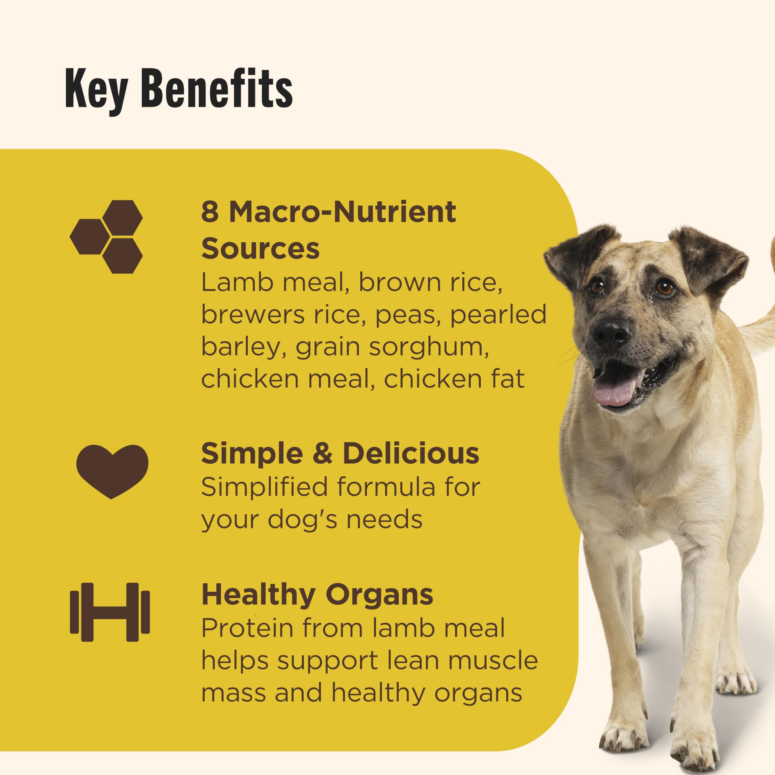 Nutrish dry dog food in a bowl ready for mealtime
