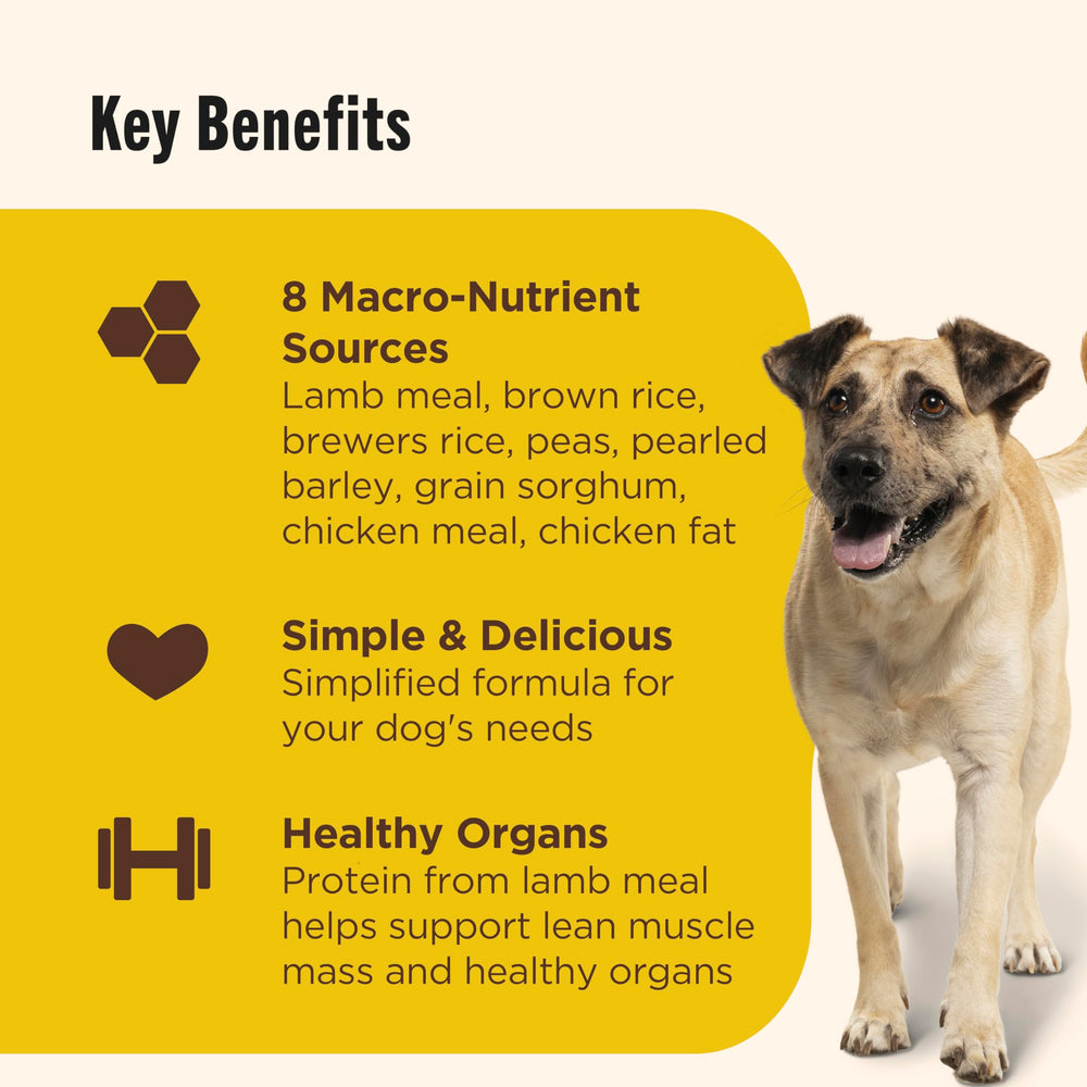 Nutrish dry dog food in a bowl ready for mealtime