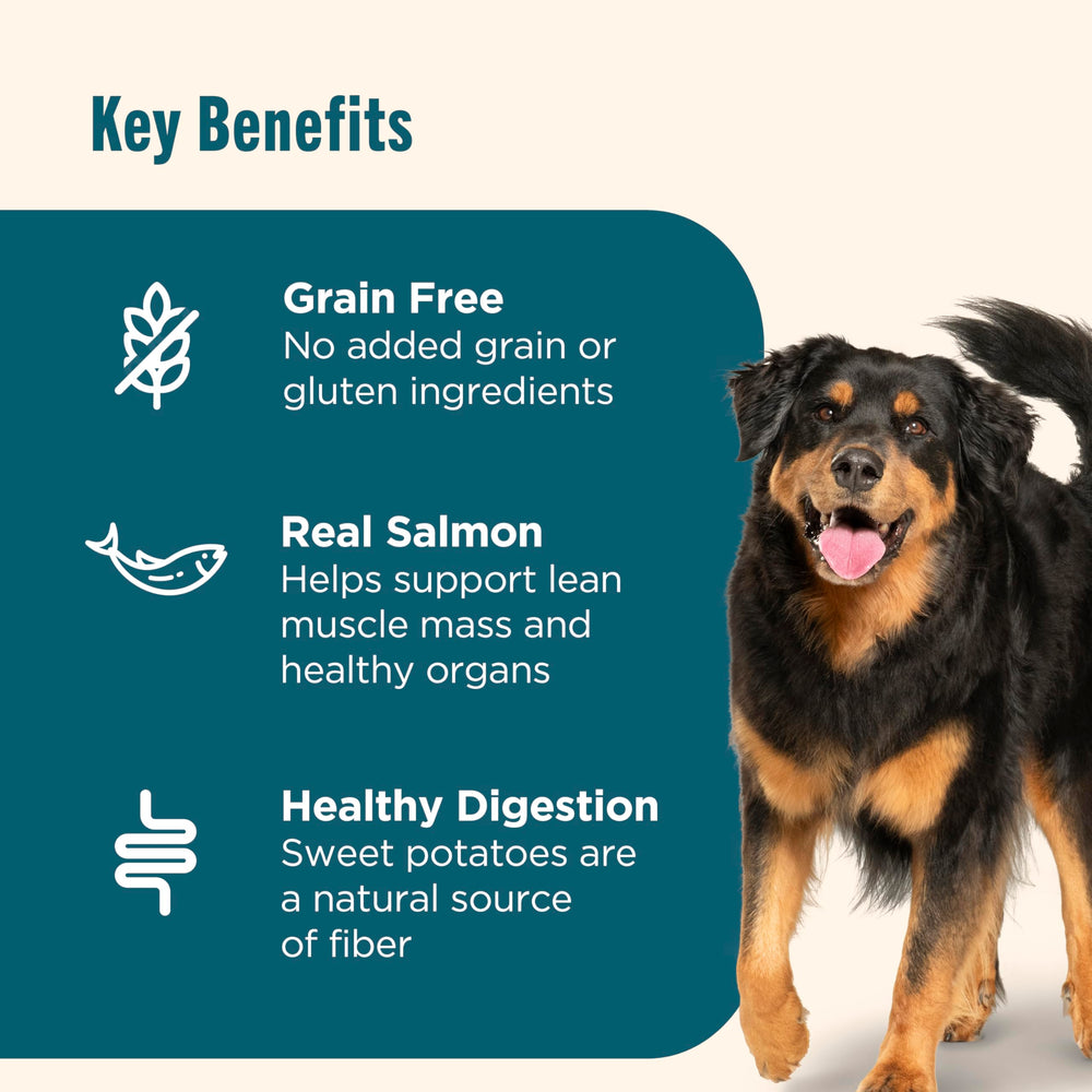 Nutrish dry dog food serving bowl ready for mealtime