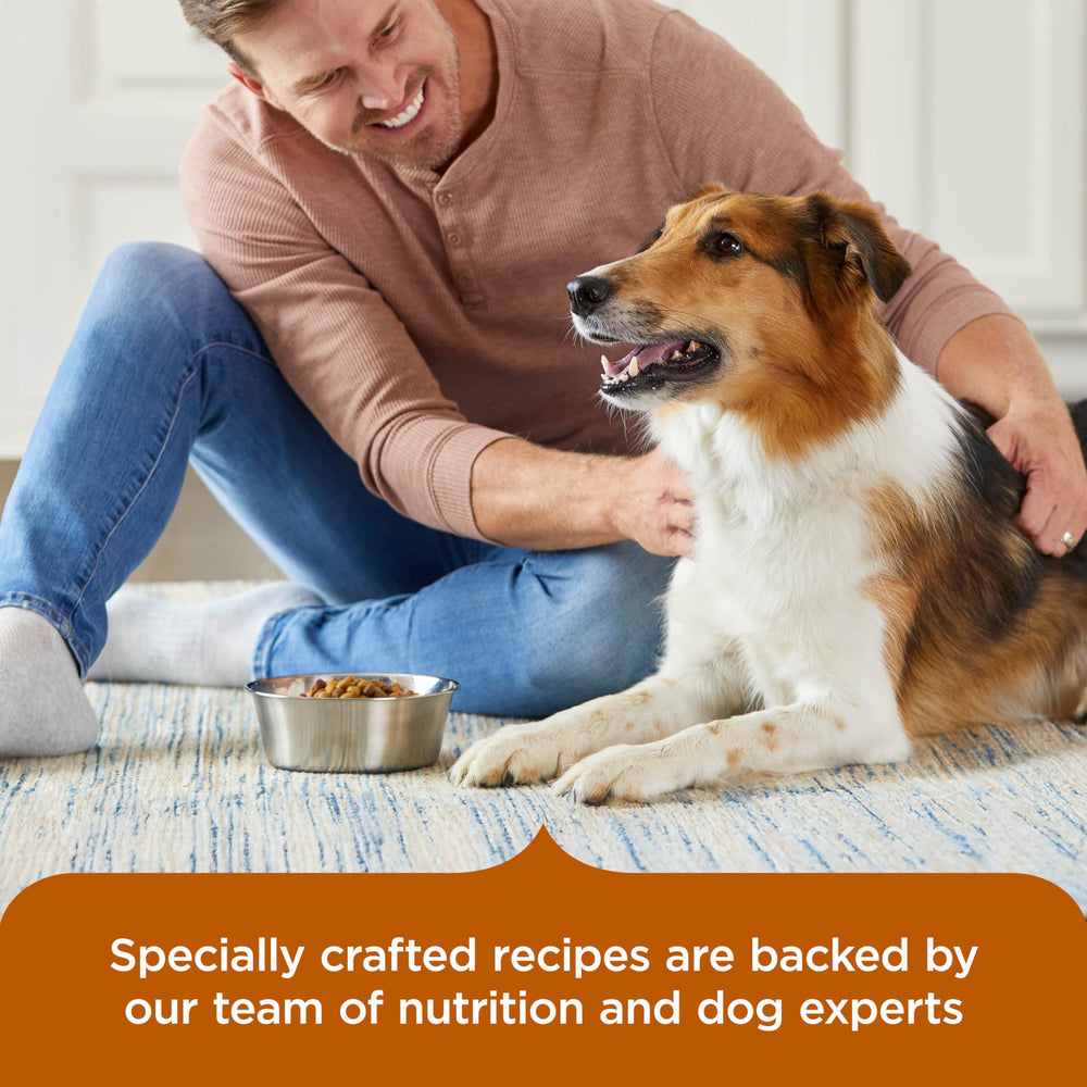 Nutrish foundation support concept illustrating donations to animals in need.