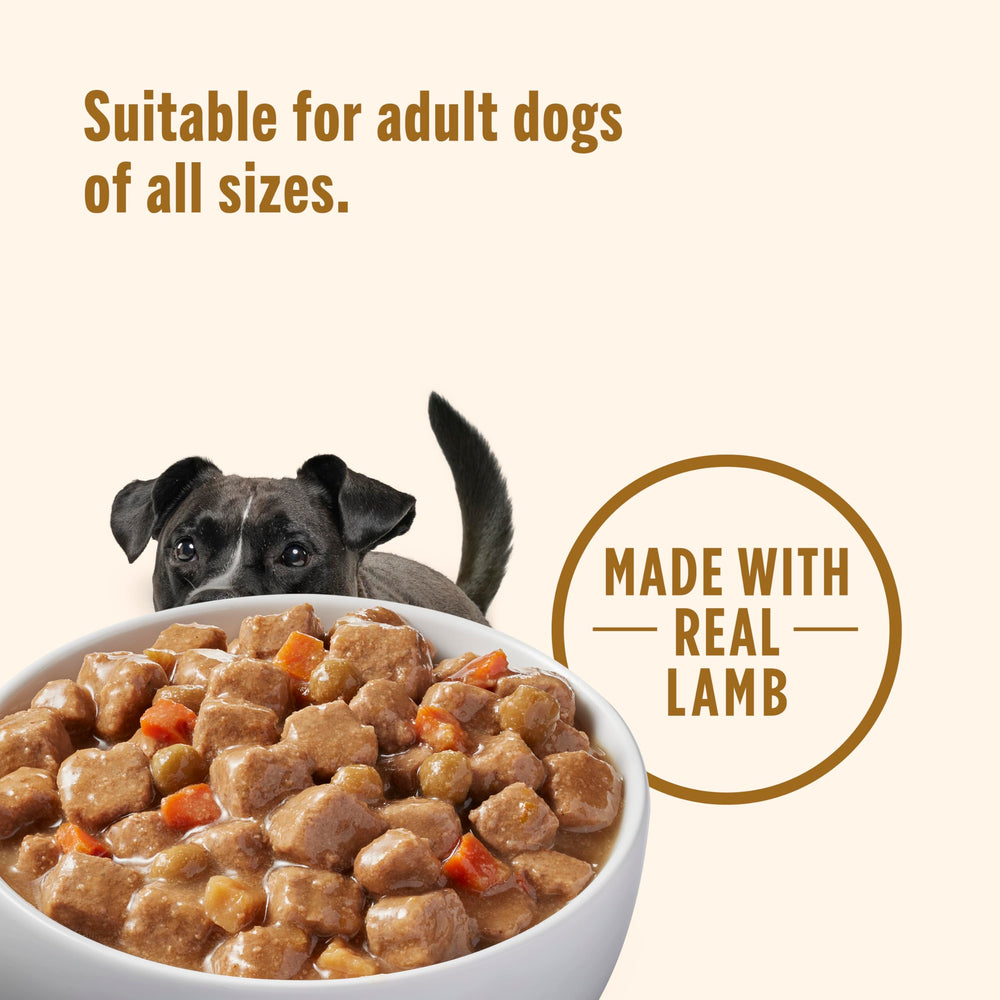 Nutrish Gentle Digestion adult dog serving shown in a bowl.
